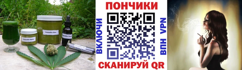 Canna-Cookies конопля  цена наркотик  Чебаркуль 