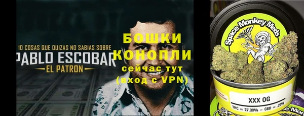 ешки Алексин