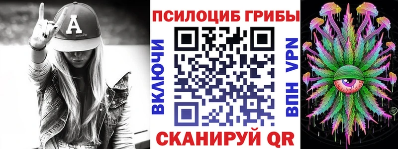 Галлюциногенные грибы Psilocybine cubensis  Чебаркуль 